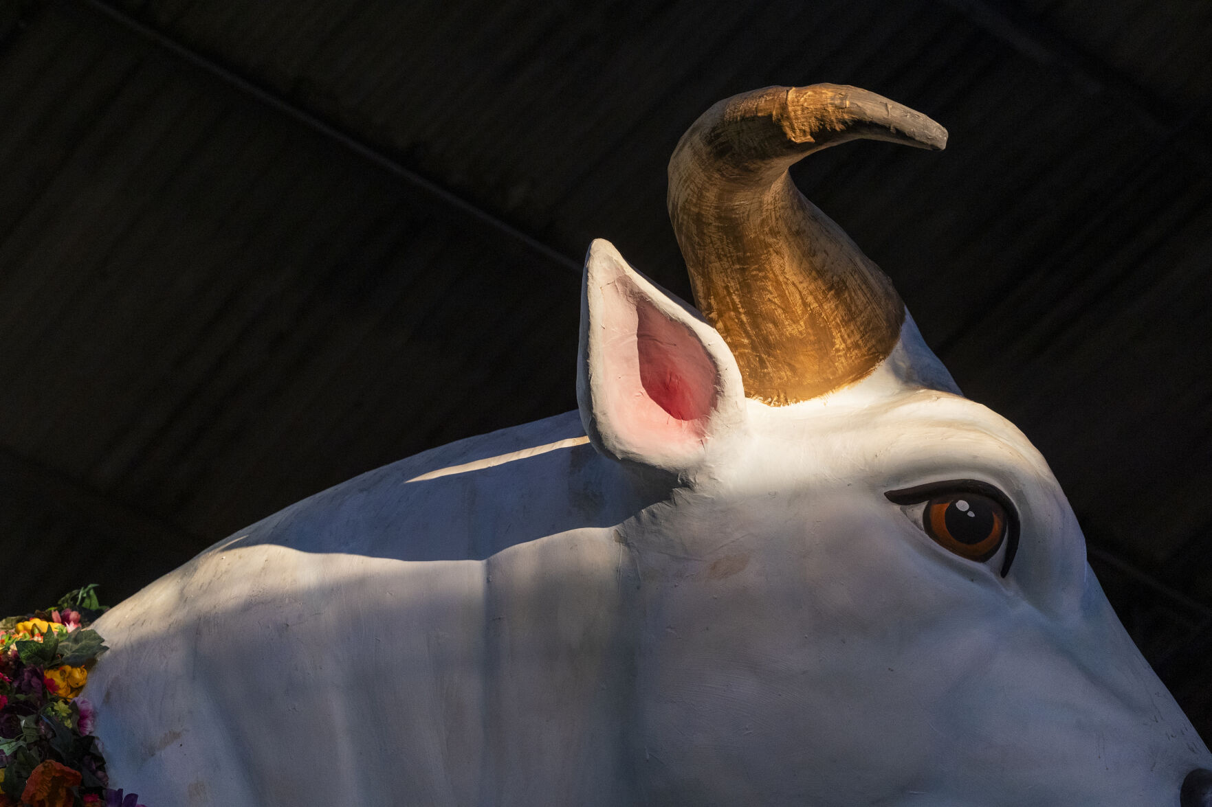 NO.mardigrasfloat_121.JPG